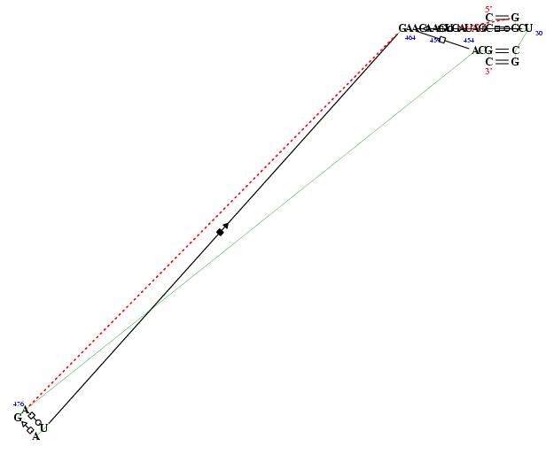 secondary structure of junction 303