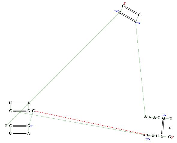 Hit refresh for a different example secondary structure of junction 3756